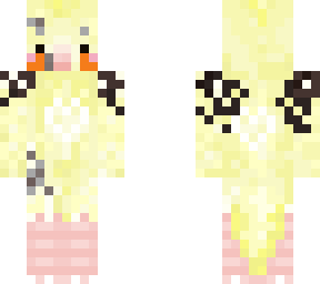 sherbet the cockatiel 2
