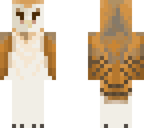 barn owl - soren