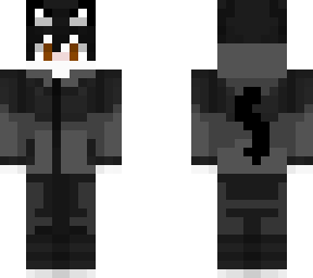 chase the cat