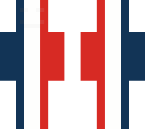 french flag with face
