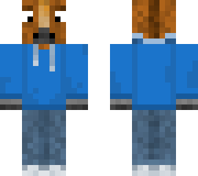 horse with hoodie