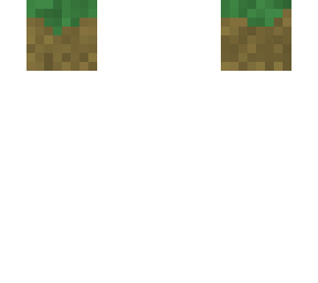 a grass block