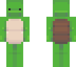 turtle