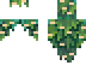 brown mushroom cape