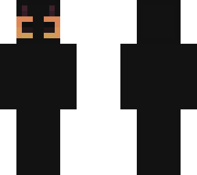 black cat