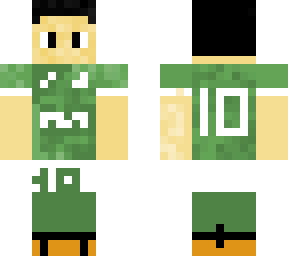 palmeiras 10
