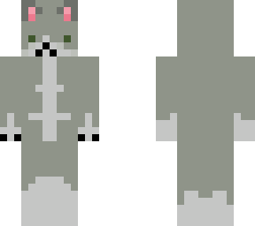what should this cat's name be