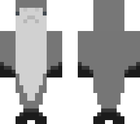 black tip shark
