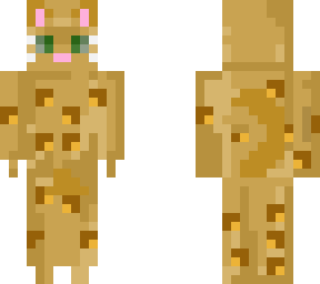 bengal cat