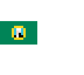 washington flag