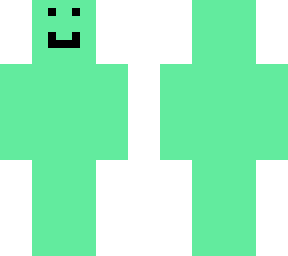 mint guy fixed