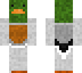 male duck