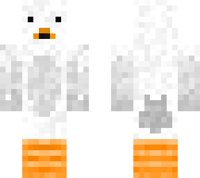 plain seagull