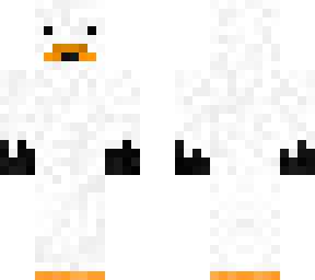 plain swan