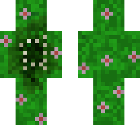 plant thingy