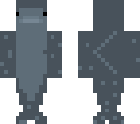 shark