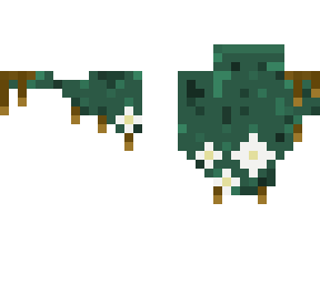 cloak