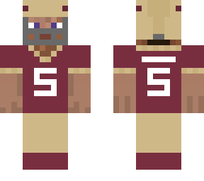 florida state home