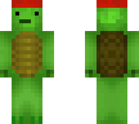 schildkroete
