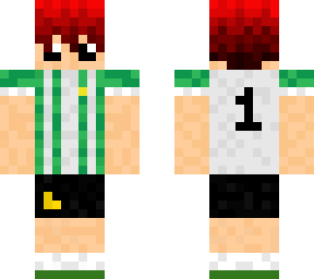 scr skin