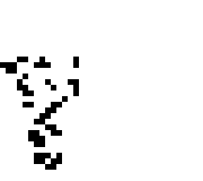 whiteorblack