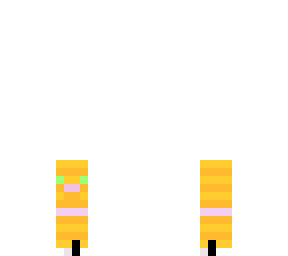 cat minecraft skin