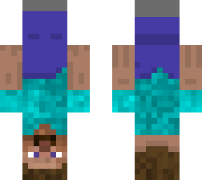 upside down steve