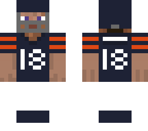 bears color '25