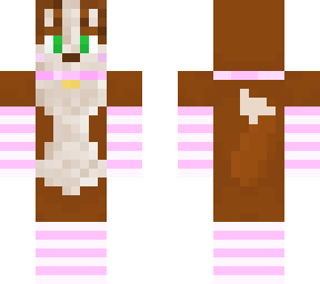 fem collie