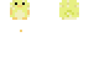 messy duck