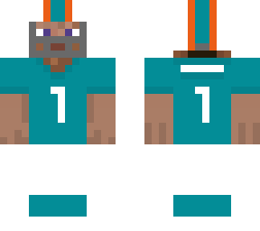 dolphins color '25