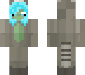 raccoon | Minecraft Skins