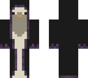 wizard duck