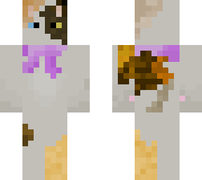 calico cat