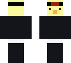 ninja duck
