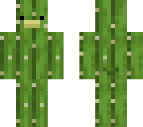 ductus