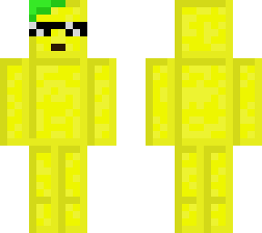 southlemonglasses