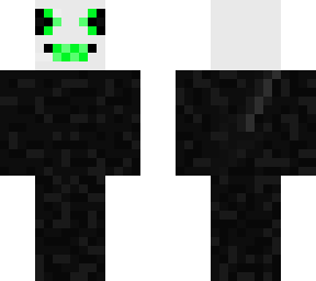 pursuer