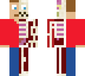 human body