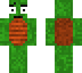 confused turtle
