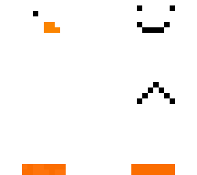 duck waith 2 faces