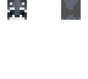raccoon head