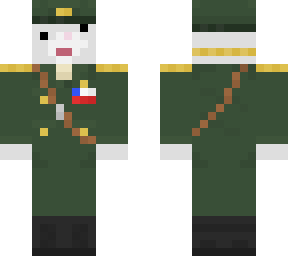 gato militar.