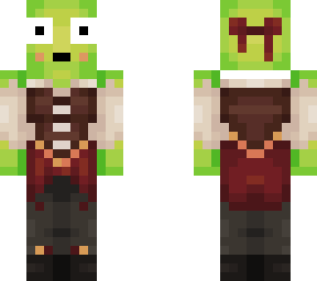 pirate turtle