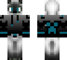 blue siamess cat