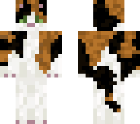 calico cat (edited)