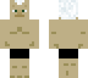 turtle v1