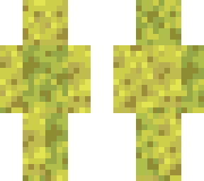 sponge