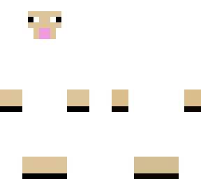 sheep
