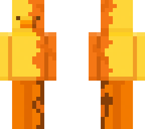 what is going on with that duck?!